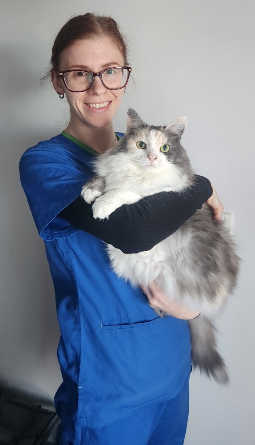 OurVet Preston