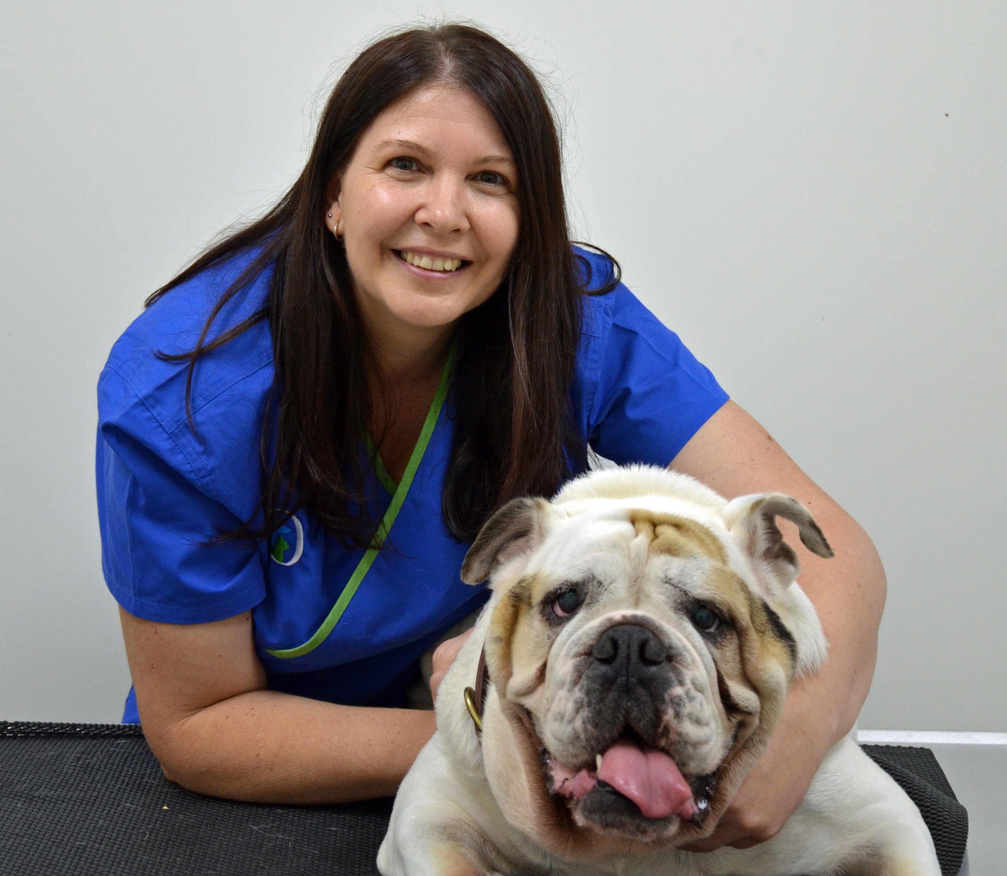 Our Vet Underwood