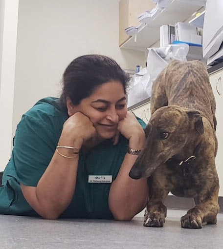 Capalaba Vet Clinic – OurVet