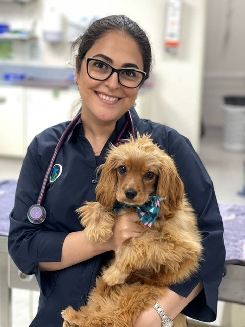 OurVet Preston