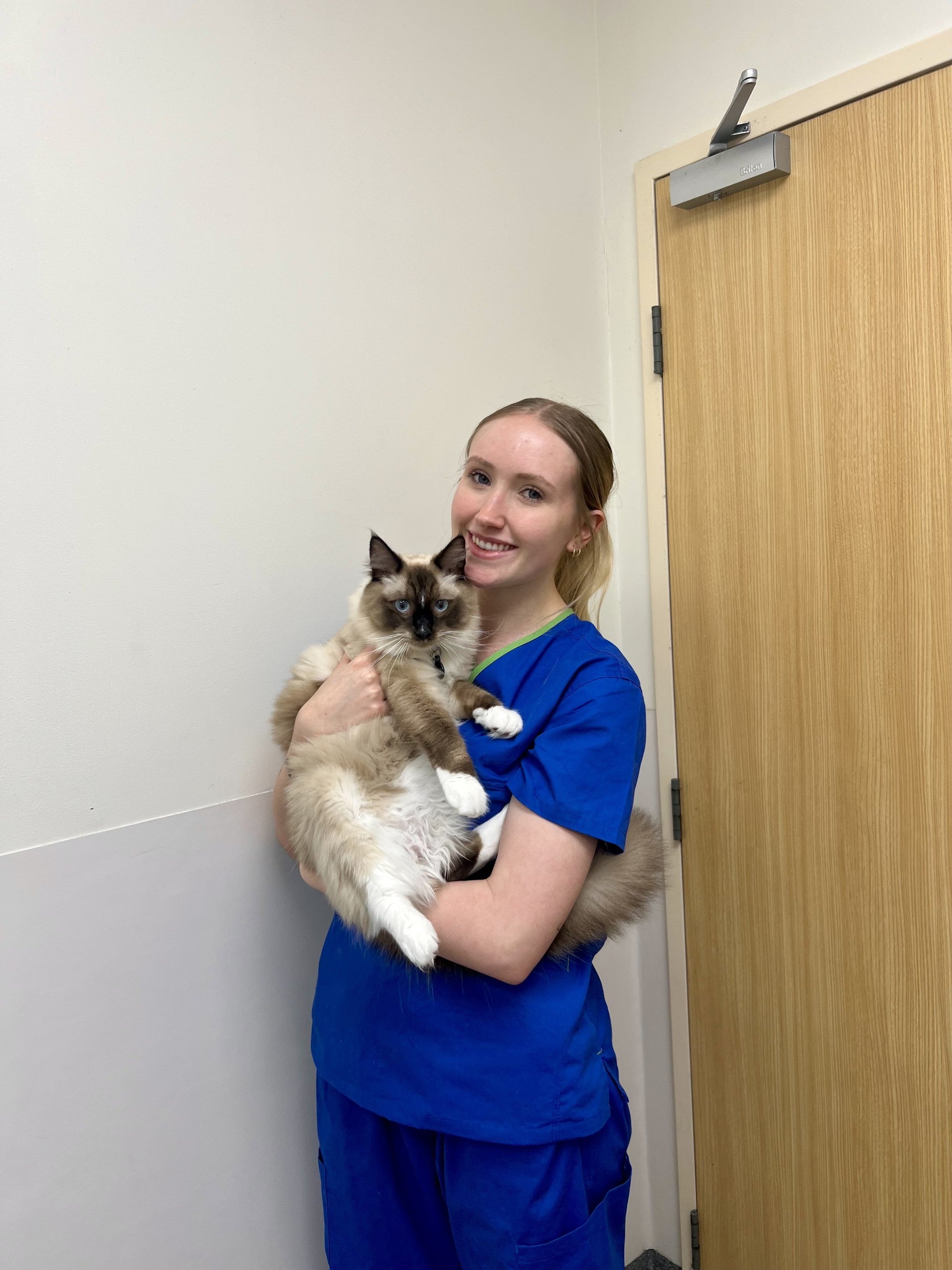 Our Vet Virginia