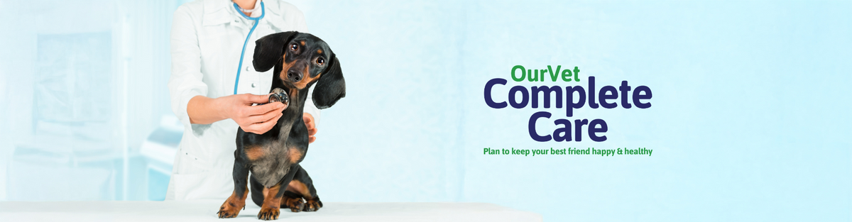 Complete Care – OurVet